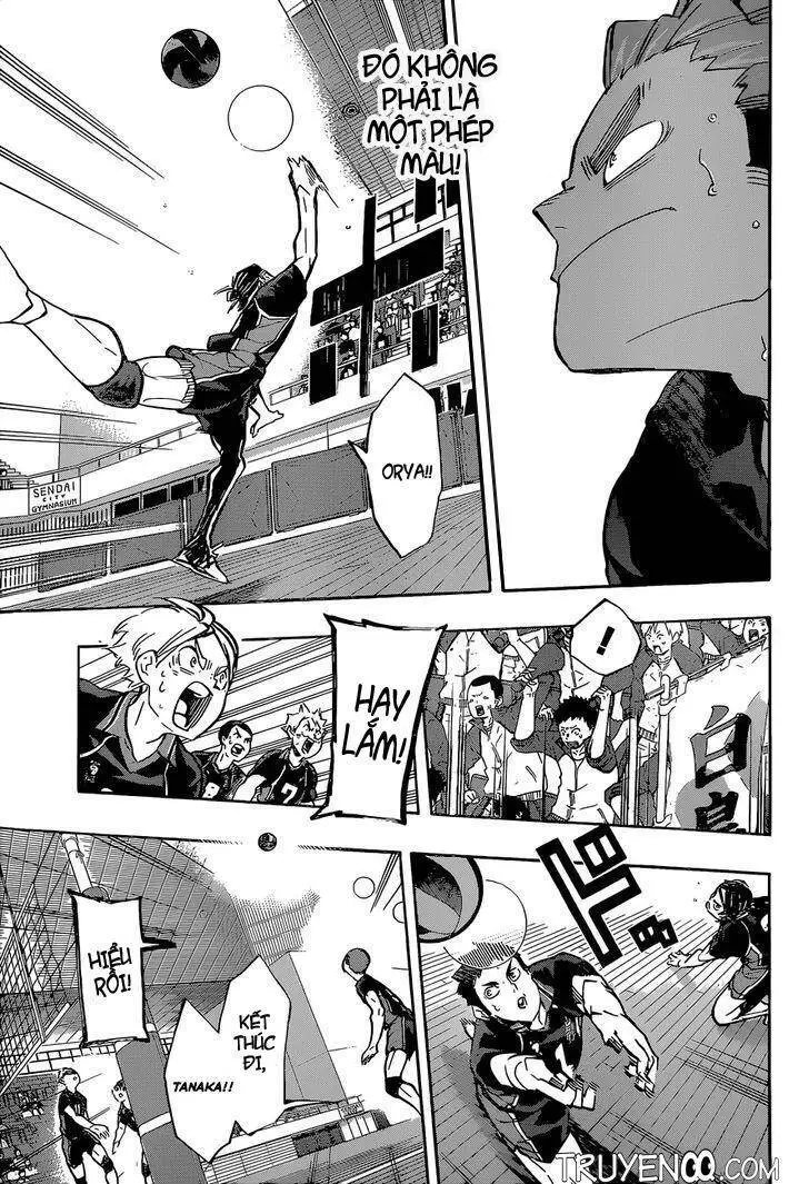 Haikyuu Nettruyen ZZZ Chương 169 Page 4