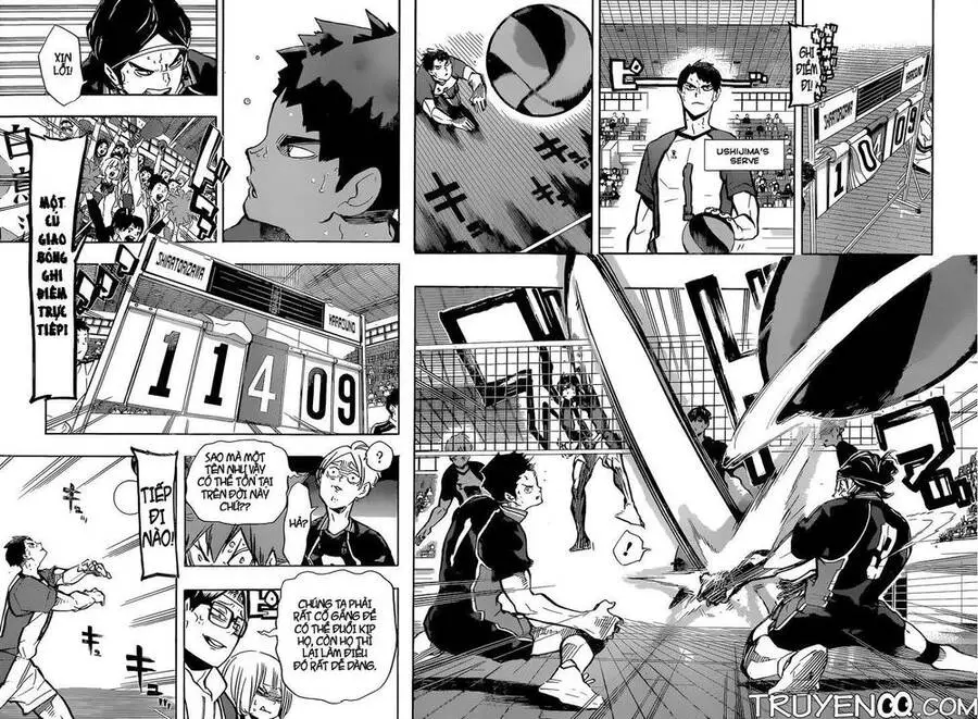 Haikyuu Nettruyen ZZZ Chương 169 Page 8