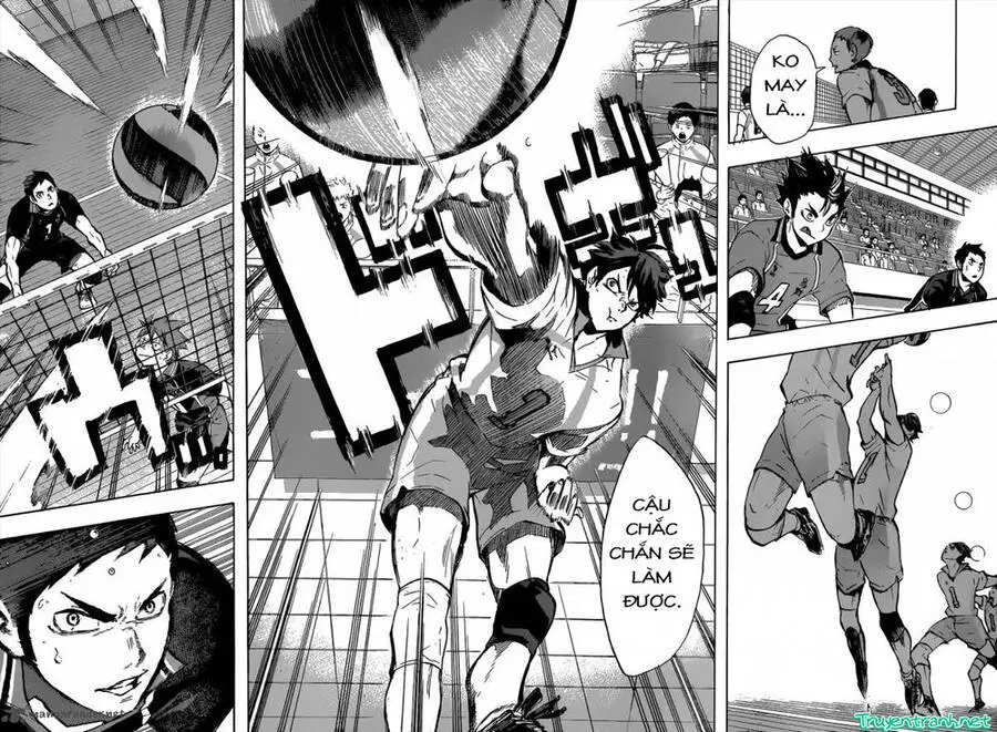 Haikyuu Nettruyen ZZZ Chương 129 Page 12