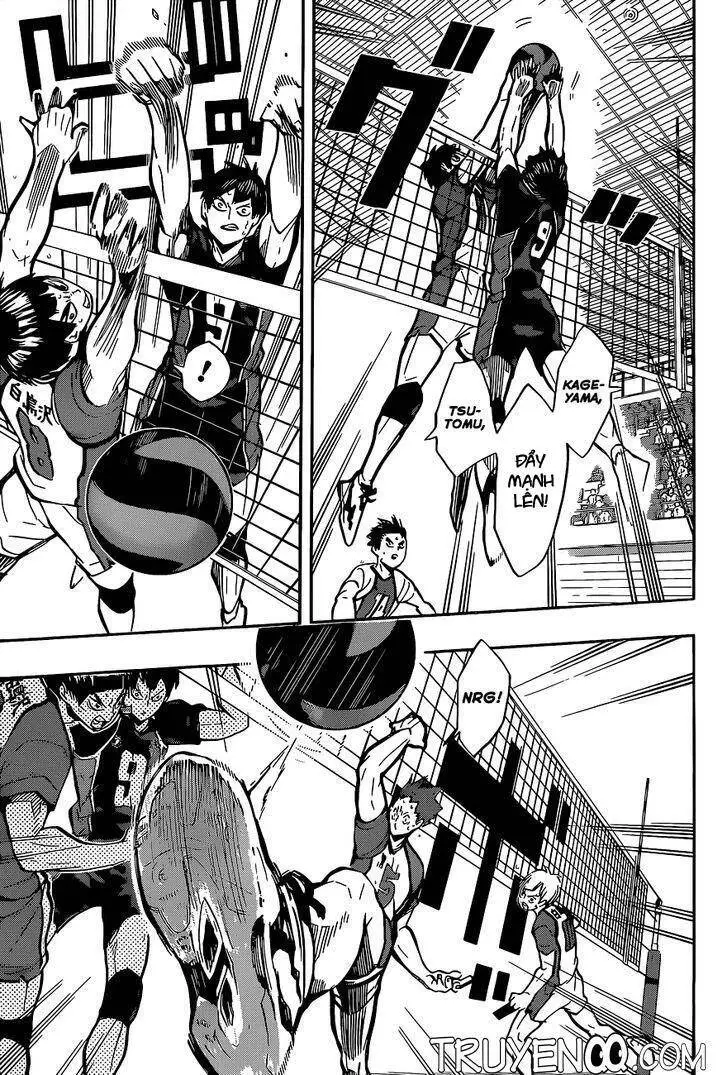 Haikyuu Nettruyen ZZZ Chương 161 Page 14