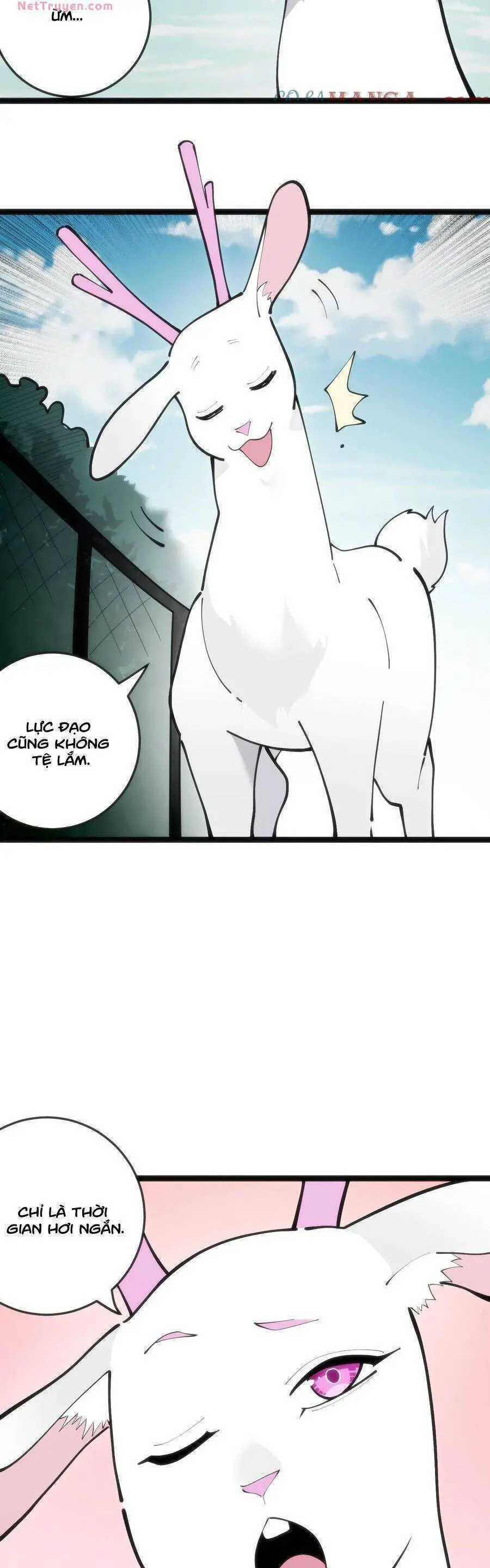 Bổn Thánh Nữ Ngã Bài Rồi Nettruyen ZZZ Chương 318 Page 17