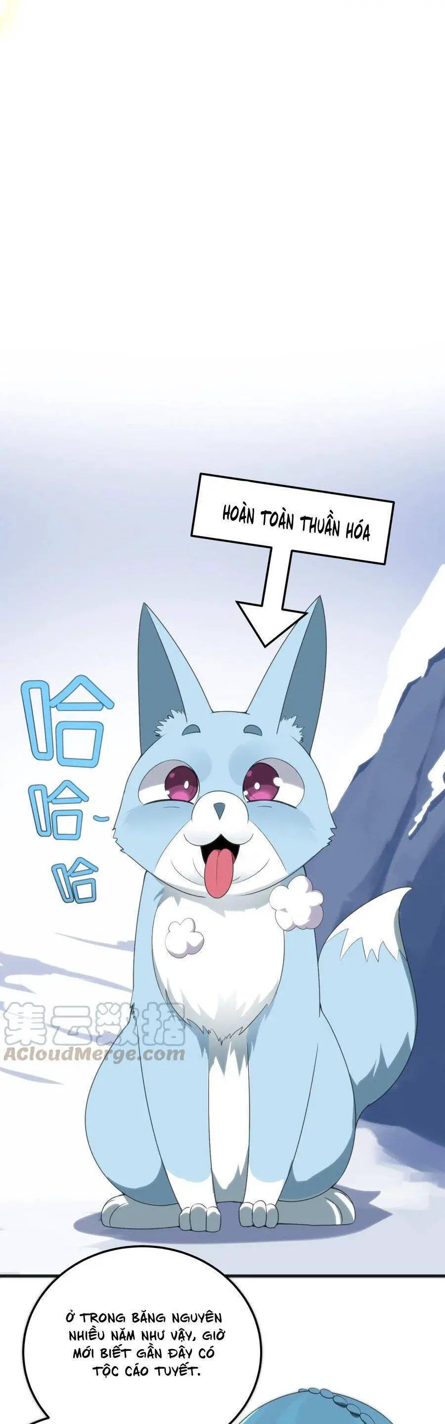 Bổn Thánh Nữ Ngã Bài Rồi Nettruyen ZZZ Chương 3 Page 45