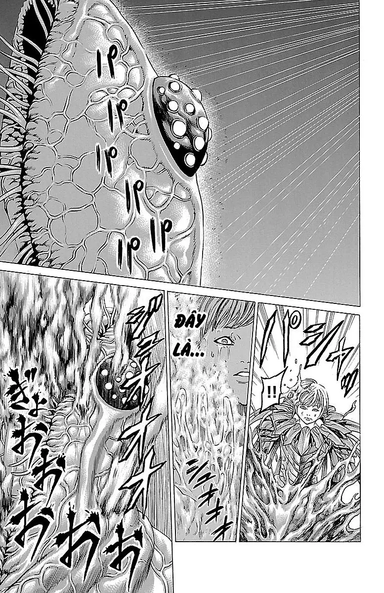 Hakaijuu Nettruyen ZZZ Chương 80 Page 20