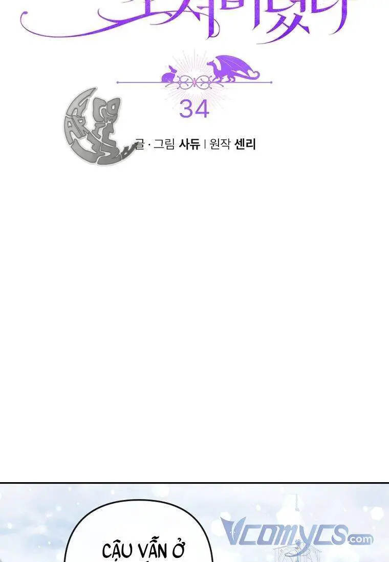 Tôi Đã Bị Quyến Rũ Bởi Nam Chính Ốm Yếu Nettruyen ZZZ Chương 34 Page 8