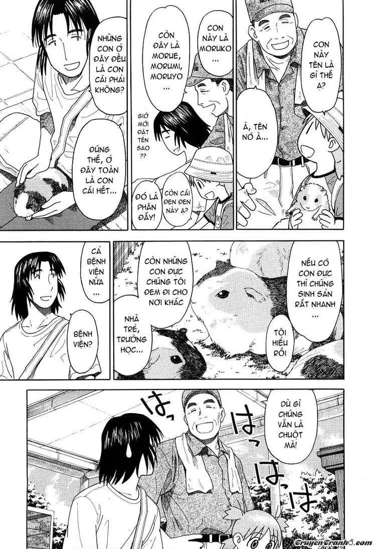 Yotsubato! Nettruyen ZZZ Chương 19 Page 15