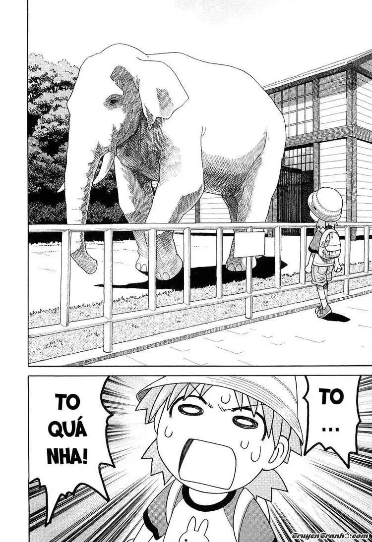 Yotsubato! Nettruyen ZZZ Chương 19 Page 20