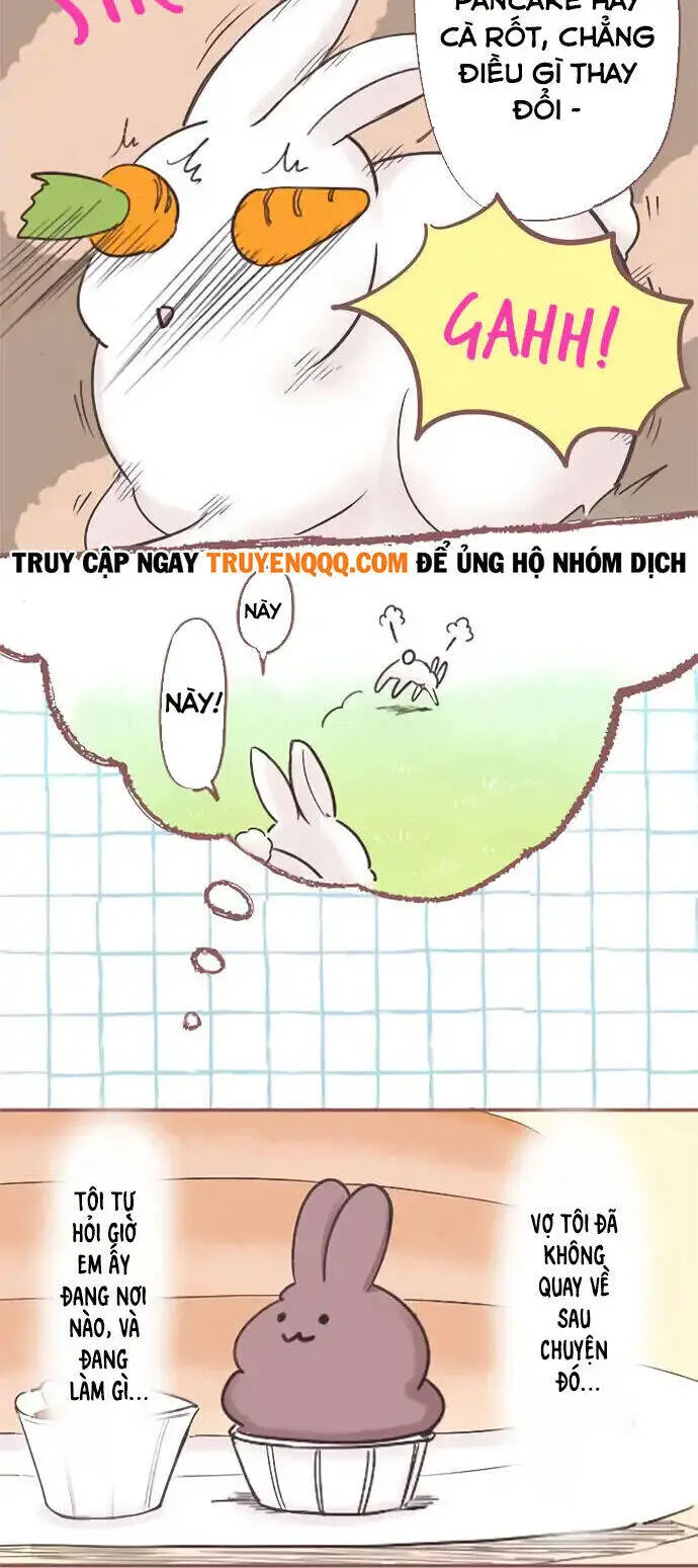 Những Chú Thỏ Ngon Miệng Nettruyen ZZZ Chương 2 Page 6