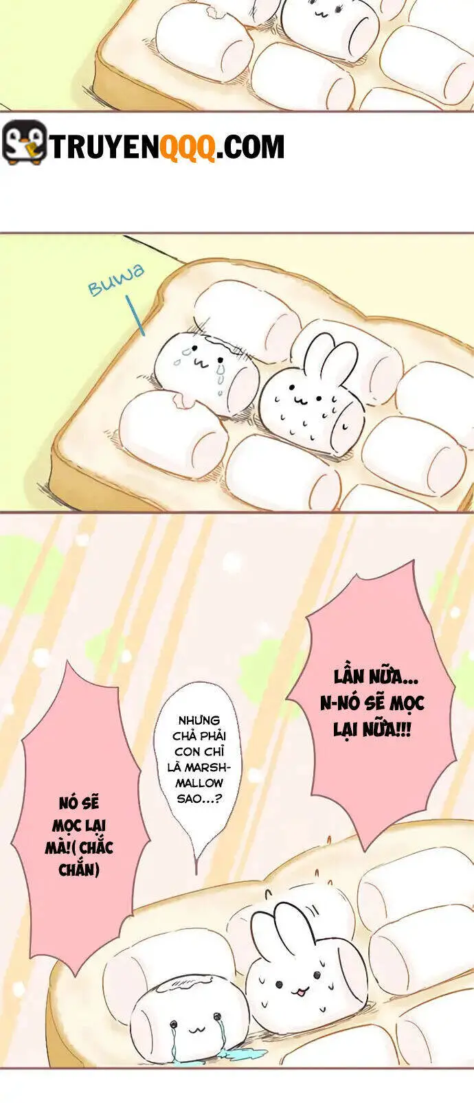 Những Chú Thỏ Ngon Miệng Nettruyen ZZZ Chương 3 Page 9