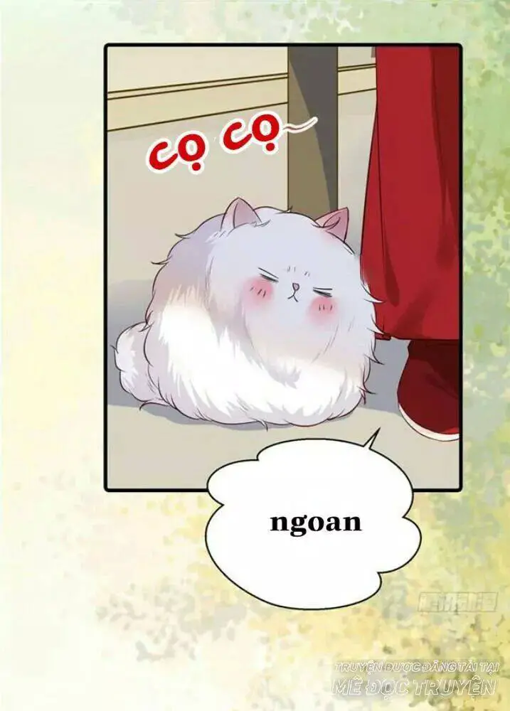 Tuyệt Sắc Quyến Rũ: Quỷ Y Chí Tôn Nettruyen ZZZ Chương 138.1 Page 21