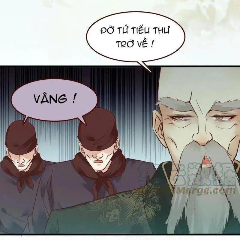 Tuyệt Sắc Quyến Rũ: Quỷ Y Chí Tôn Nettruyen ZZZ Chương 446 Page 6