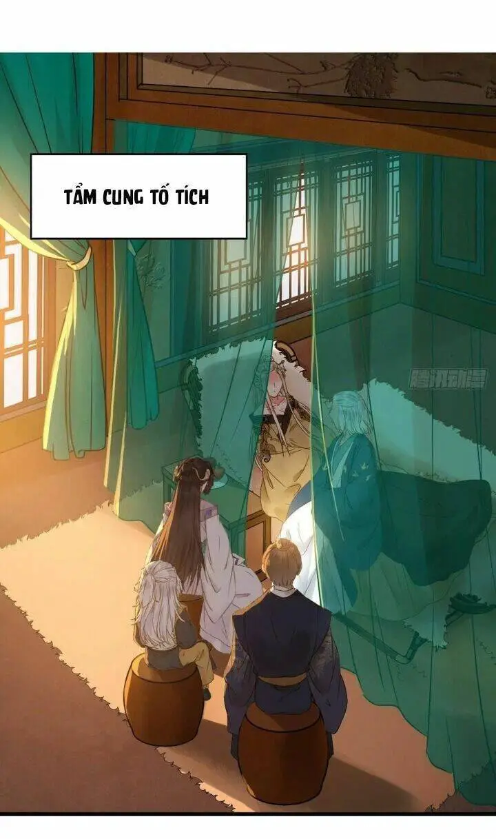 Tuyệt Sắc Quyến Rũ: Quỷ Y Chí Tôn Nettruyen ZZZ Chương 315 Page 13