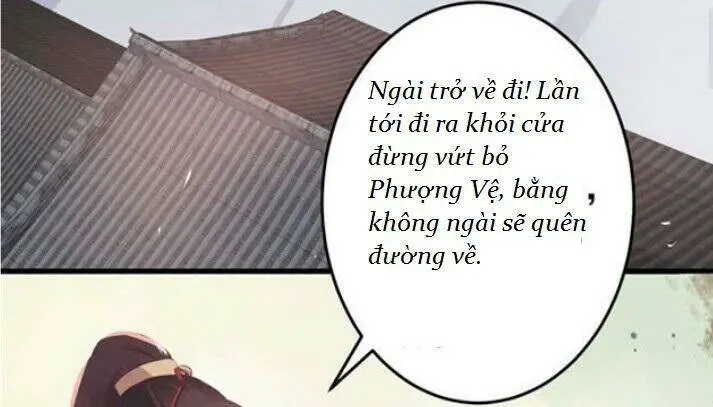 Tuyệt Sắc Quyến Rũ: Quỷ Y Chí Tôn Nettruyen ZZZ Chương 60 Page 13
