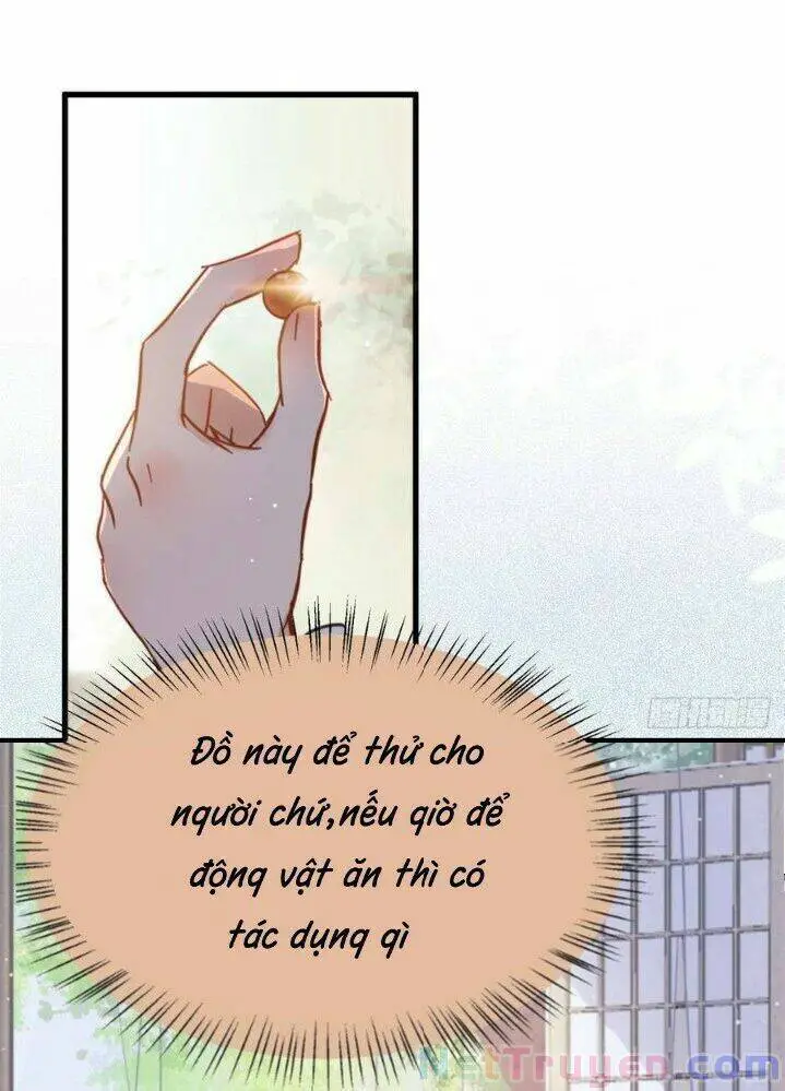 Tuyệt Sắc Quyến Rũ: Quỷ Y Chí Tôn Nettruyen ZZZ Chương 262 Page 25