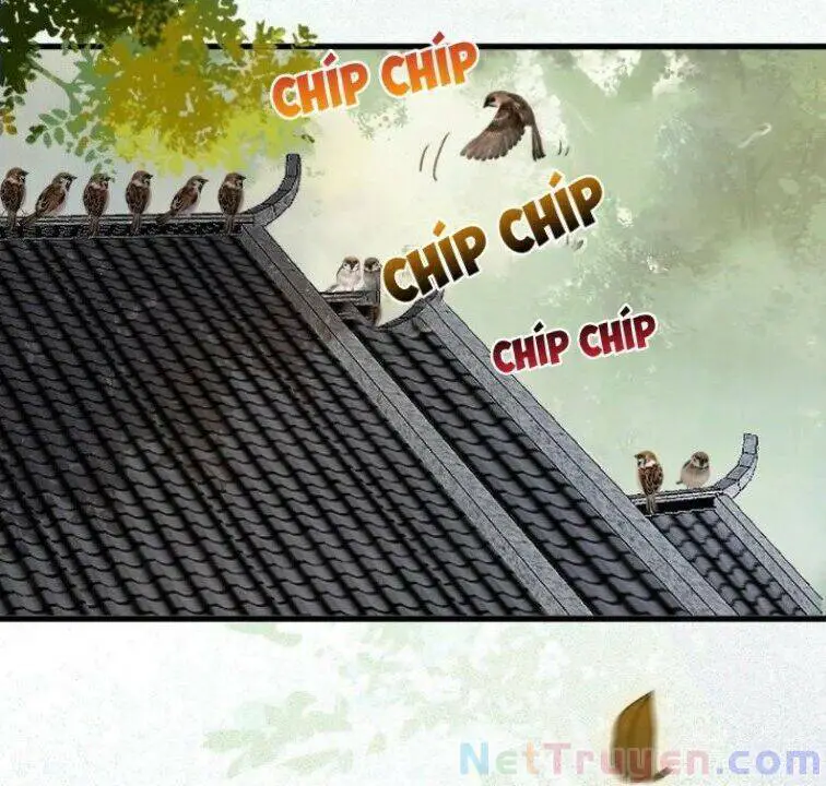 Tuyệt Sắc Quyến Rũ: Quỷ Y Chí Tôn Nettruyen ZZZ Chương 267 Page 7