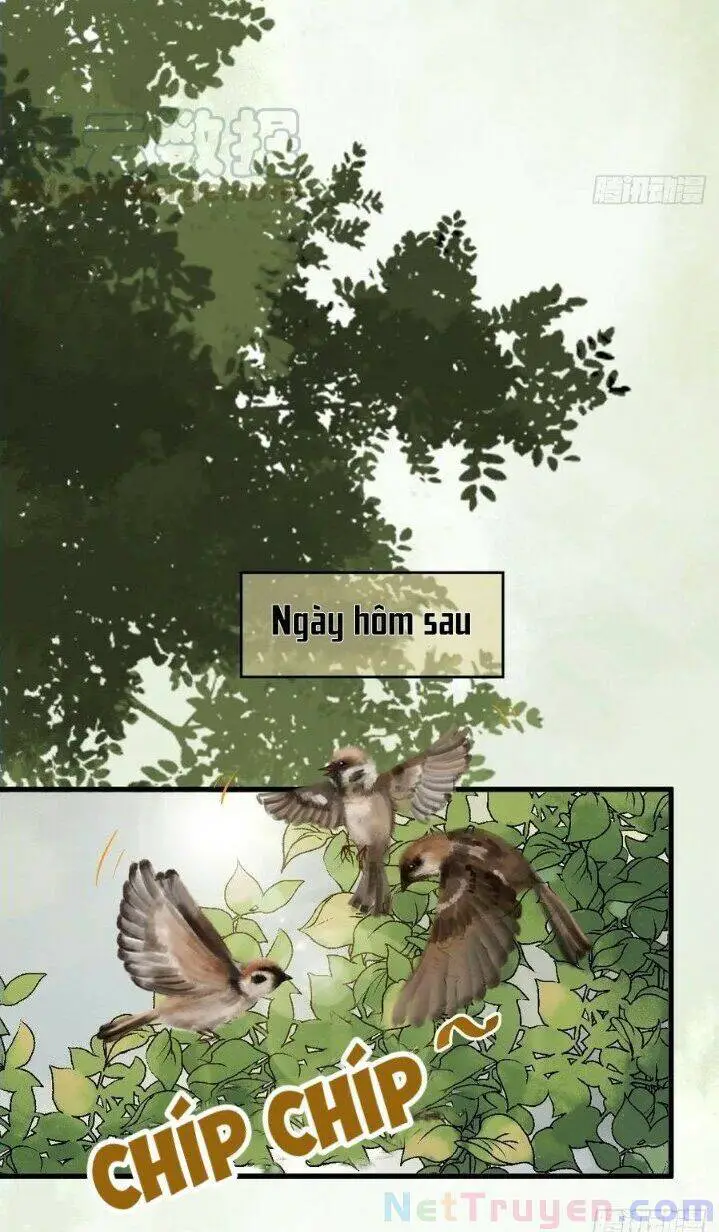 Tuyệt Sắc Quyến Rũ: Quỷ Y Chí Tôn Nettruyen ZZZ Chương 266 Page 32