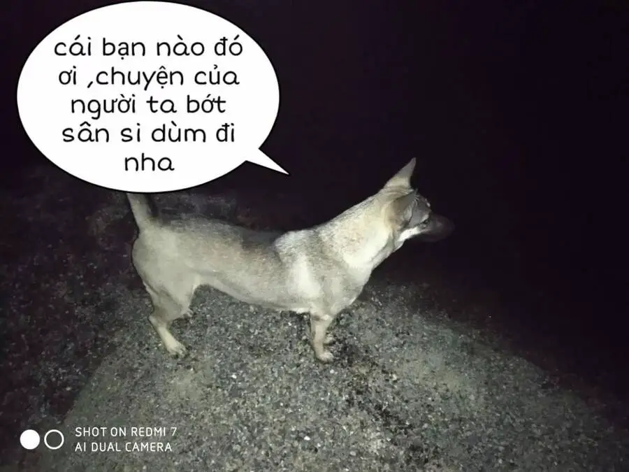 Tuyệt Sắc Quyến Rũ: Quỷ Y Chí Tôn Nettruyen ZZZ Chương 152 Page 32
