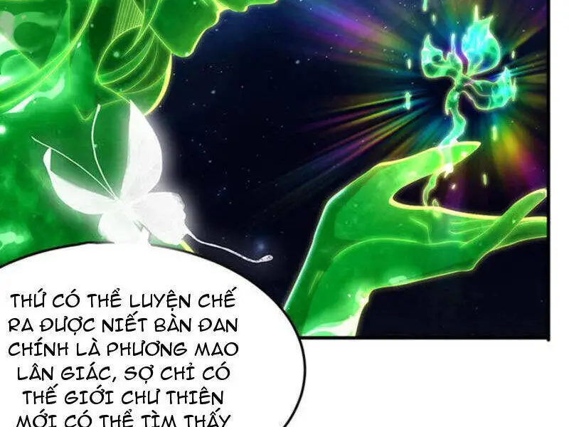 Đệ Nhất Ở Rể Nettruyen ZZZ Chương 314 Page 22