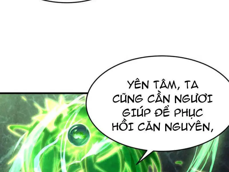 Đệ Nhất Ở Rể Nettruyen ZZZ Chương 314 Page 35