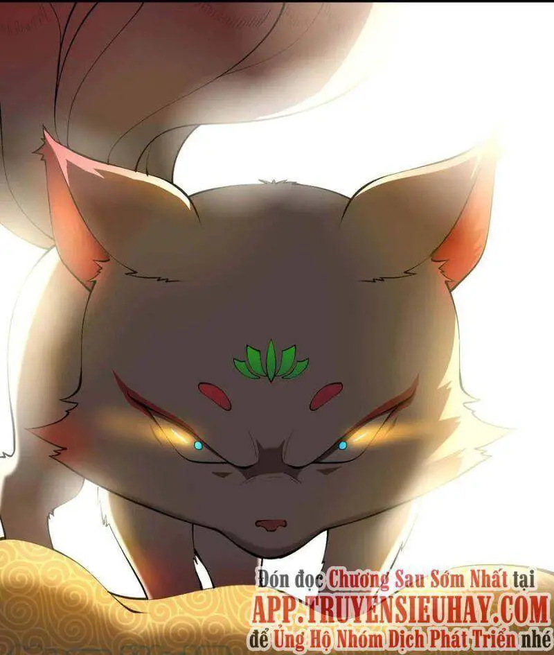 Đệ Nhất Ở Rể Nettruyen ZZZ Chương 163 Page 47