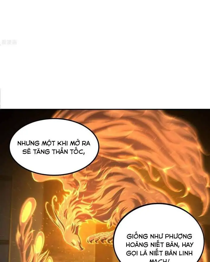 Đệ Nhất Ở Rể Nettruyen ZZZ Chương 80 Page 27