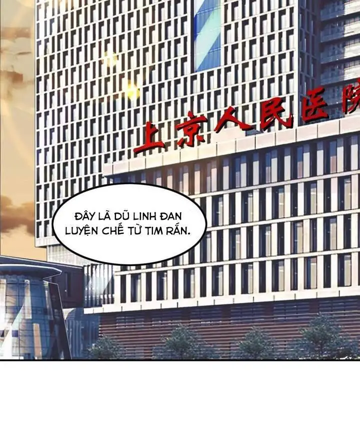 Đệ Nhất Ở Rể Nettruyen ZZZ Chương 75 Page 42