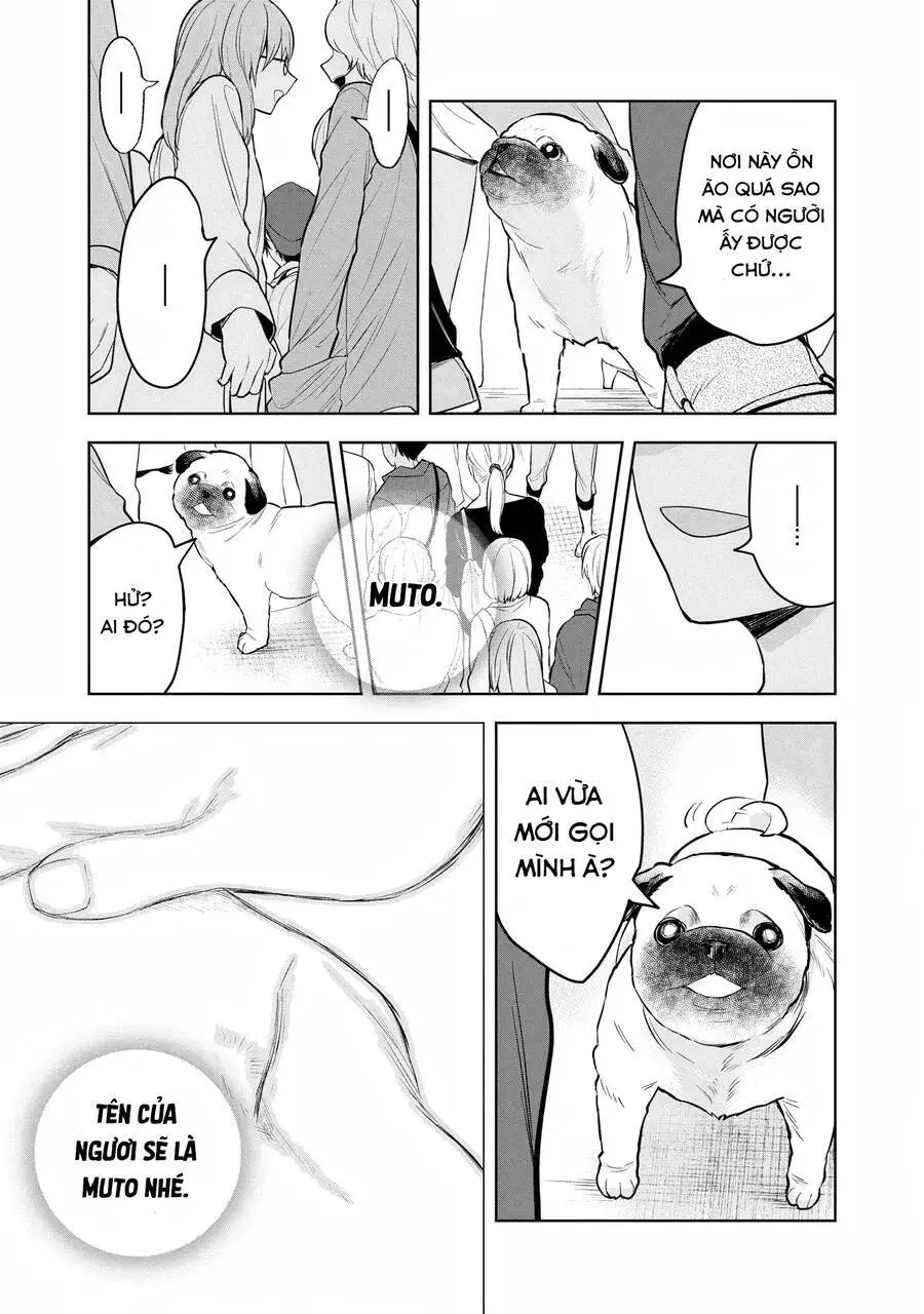 Nữ Hầu Hắc Ám Này Mạnh Quá! Nettruyen ZZZ Chương 5 Page 16