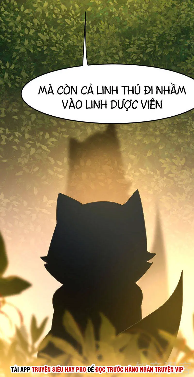 Tiên Đế Trở Về Nettruyen ZZZ Chương 33 Page 12