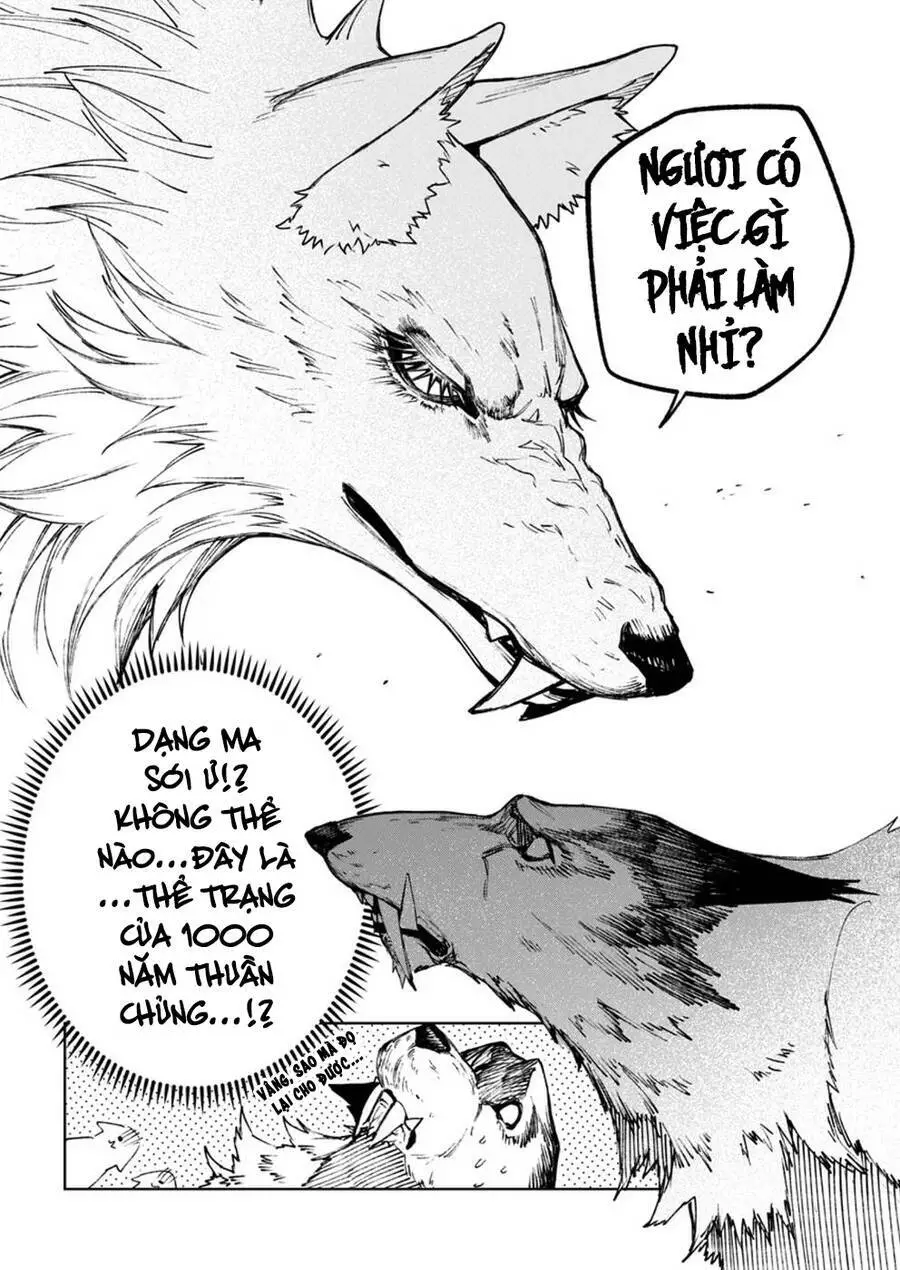 Bạn Đồng Hành Của Tôi Là Undead Mạnh Nhất Ở Thế Giới Khác Nettruyen ZZZ Chương 6 Page 21