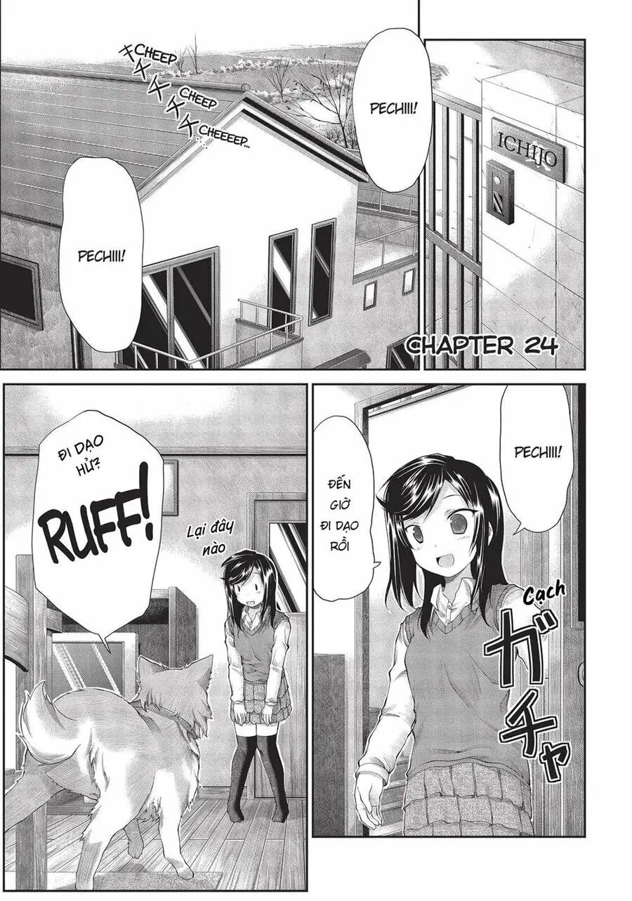 Cuộc Sống Thường Ngày Nettruyen ZZZ Chương 24 Page 3