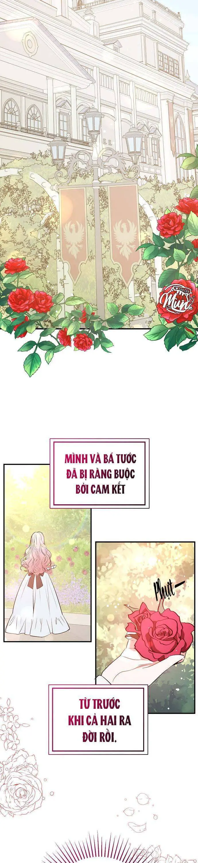 Tôi Không Cố Ý Quyến Rũ Nam Chính Đâu! Nettruyen ZZZ Chương 53 Page 9