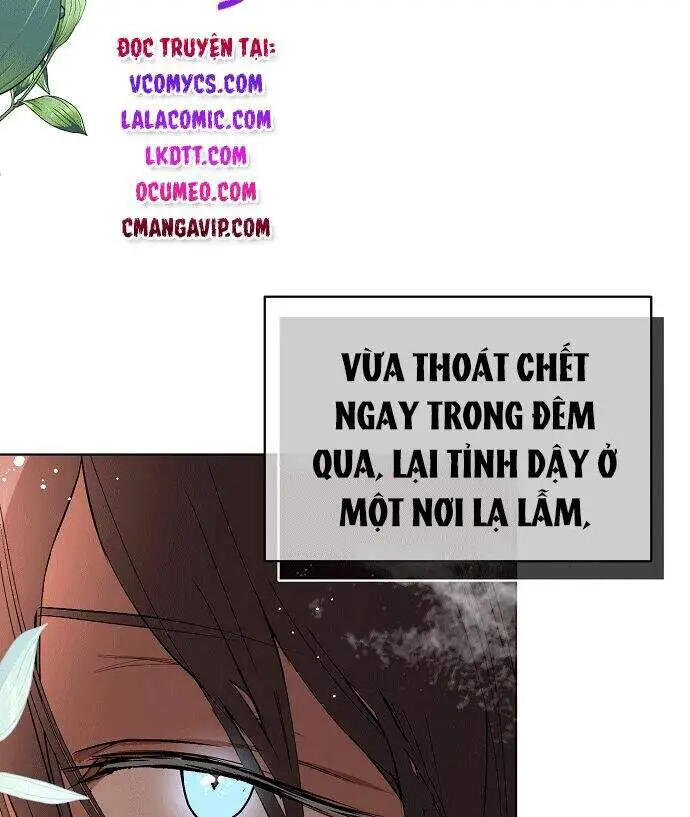 Tôi Không Cố Ý Quyến Rũ Nam Chính Đâu! Nettruyen ZZZ Chương 21 Page 165