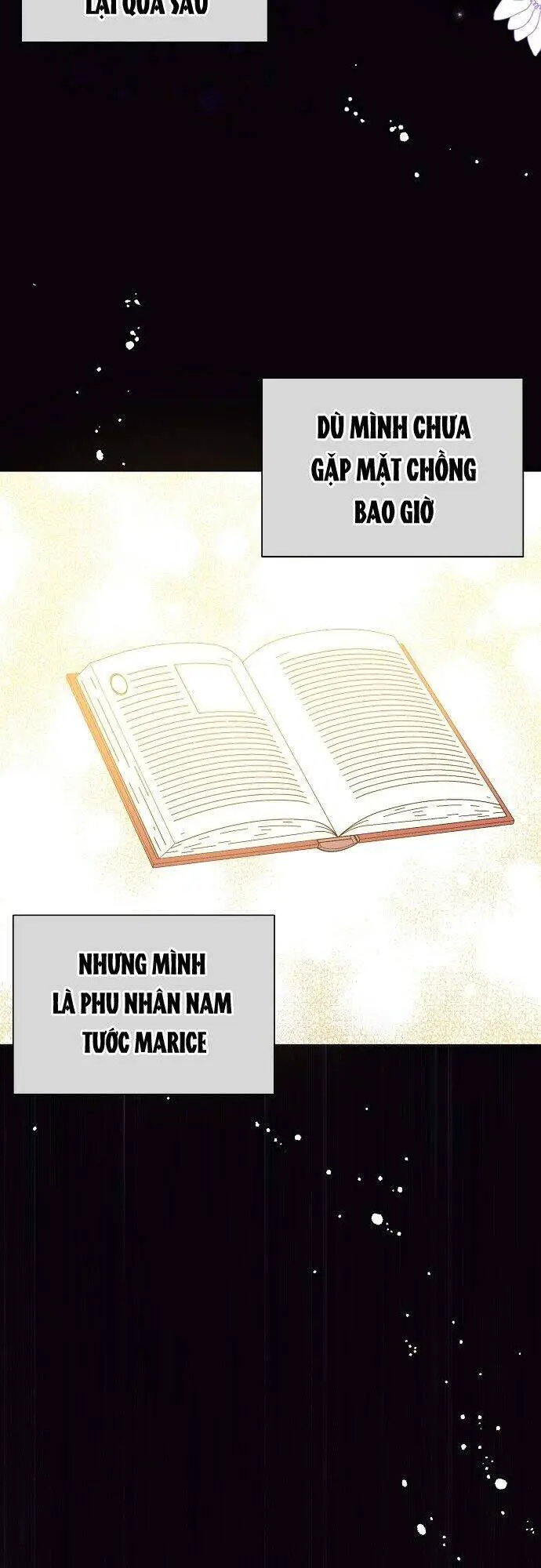 Tôi Không Cố Ý Quyến Rũ Nam Chính Đâu! Nettruyen ZZZ Chương 13 Page 18