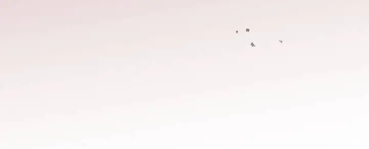 Tôi Sẽ Bị Trừ Khử Cùng Hoàng Đế Nettruyen ZZZ Chương 82.2 Page 40