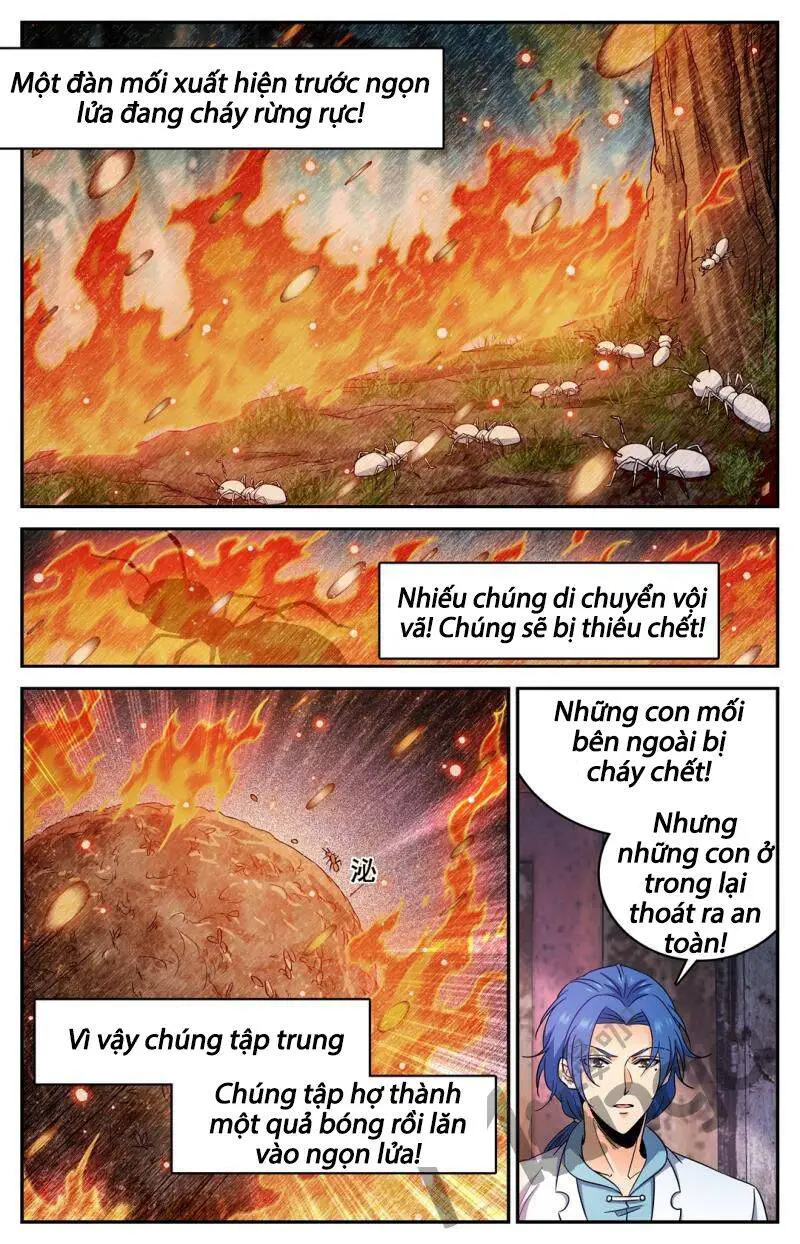 Toàn Chức Pháp Sư Nettruyen ZZZ Chương 411 Page 5
