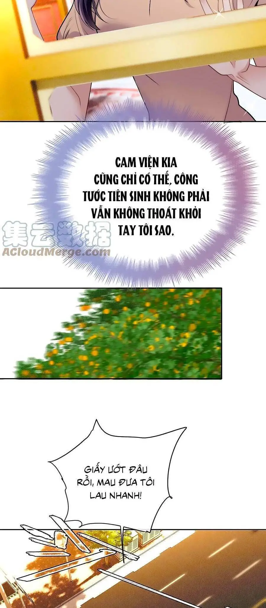 Cô Vợ Mang Thai Một Tặng Một Nettruyen ZZZ Chương 226 Page 27