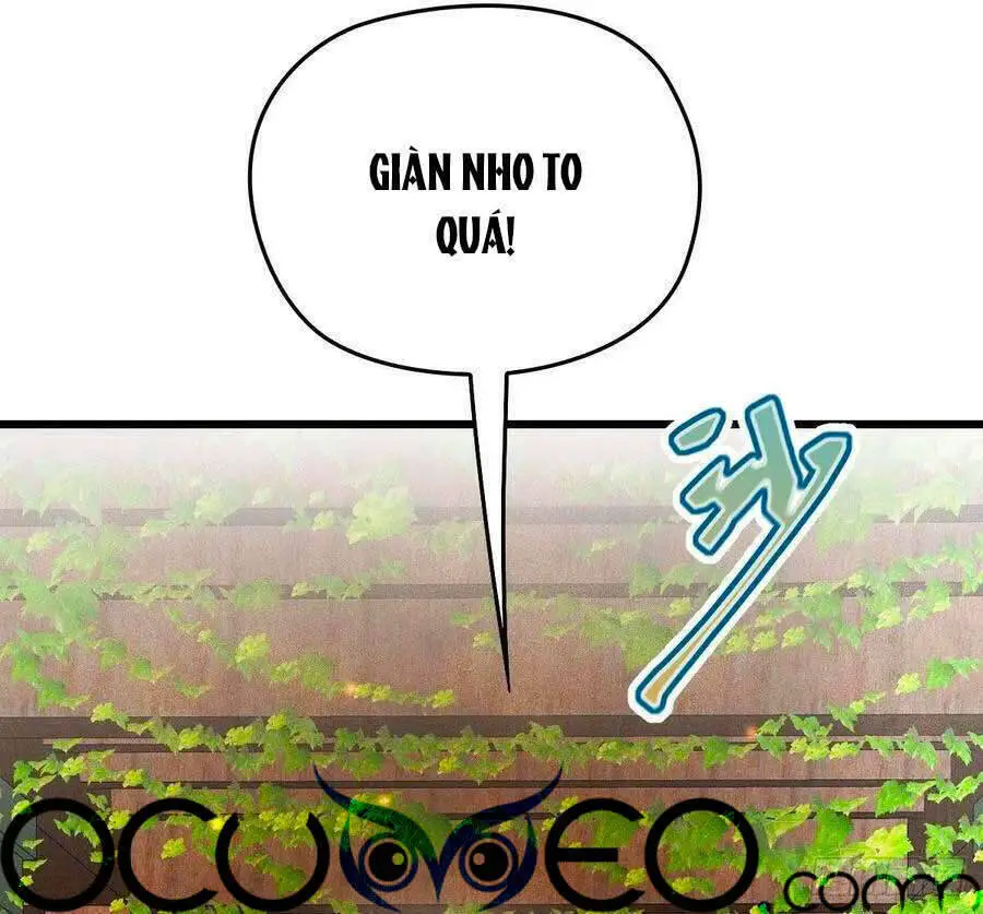 Cô Vợ Mang Thai Một Tặng Một Nettruyen ZZZ Chương 115 Page 12