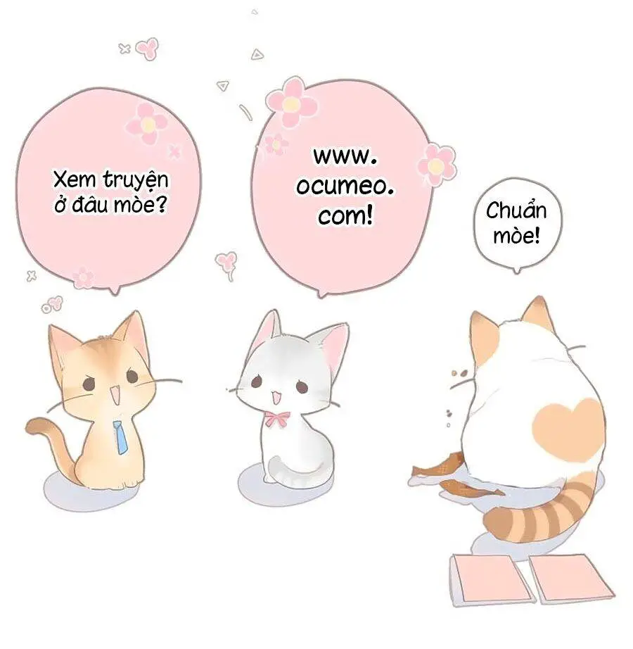 Cô Vợ Mang Thai Một Tặng Một Nettruyen ZZZ Chương 47 Page 40