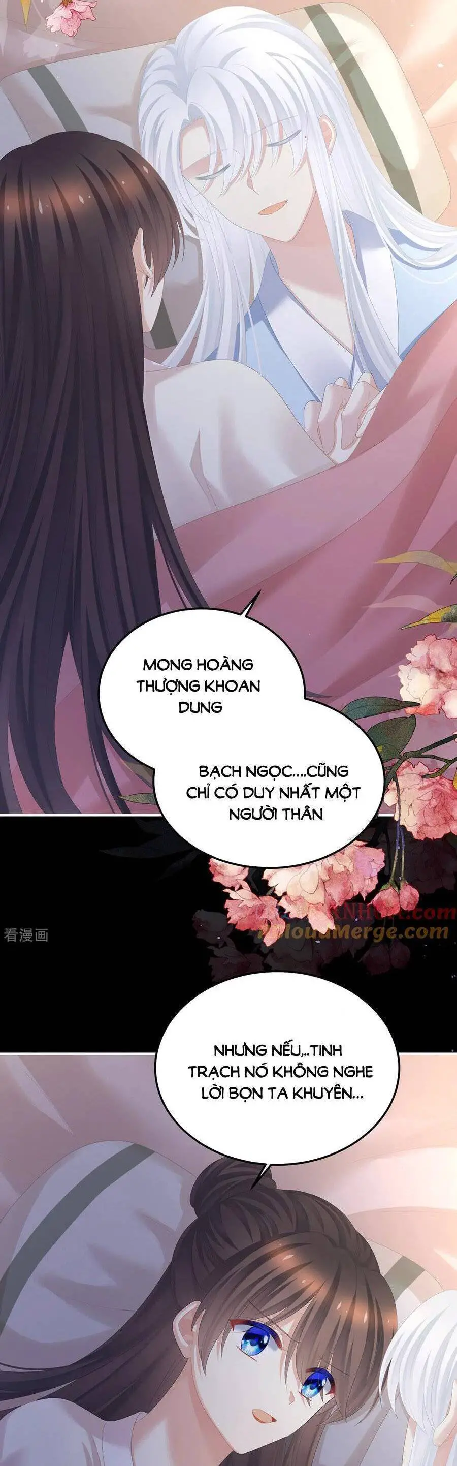 Hậu Cung Của Nữ Đế Nettruyen ZZZ Chương 361 Page 8