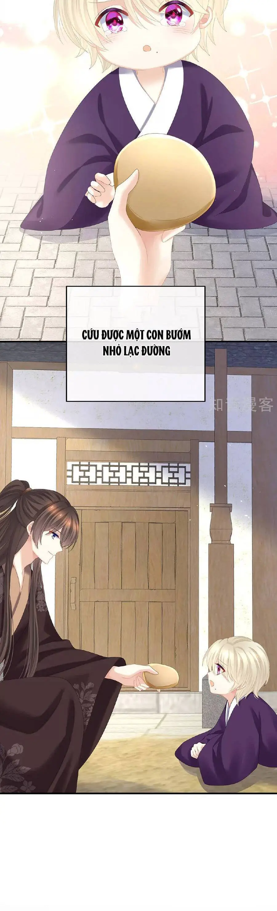 Hậu Cung Của Nữ Đế Nettruyen ZZZ Chương 342 Page 9
