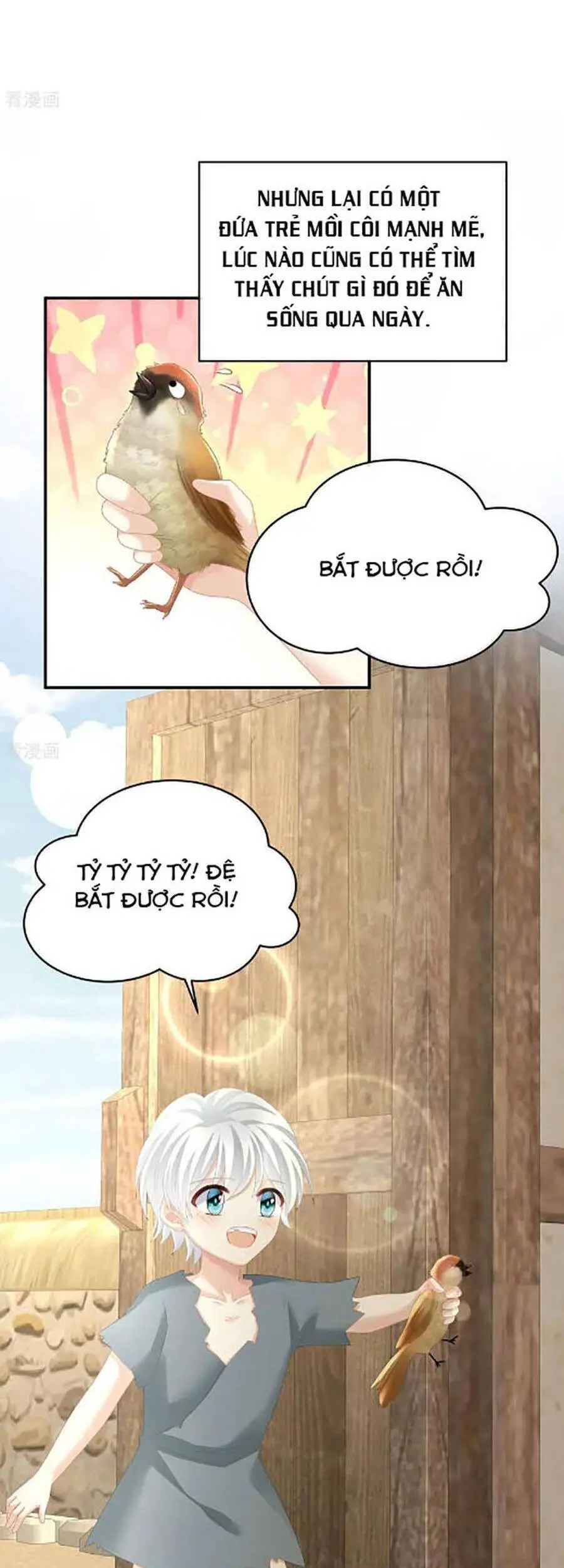 Hậu Cung Của Nữ Đế Nettruyen ZZZ Chương 300 Page 20