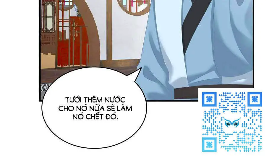 Hậu Cung Của Nữ Đế Nettruyen ZZZ Chương 249 Page 39