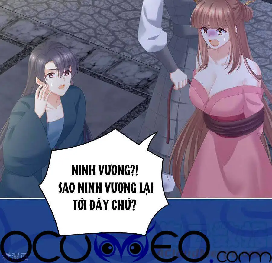 Hậu Cung Của Nữ Đế Nettruyen ZZZ Chương 238 Page 4