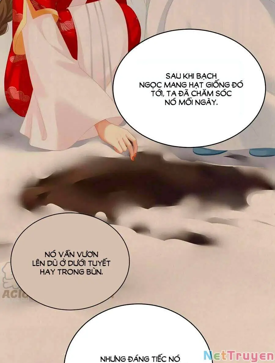 Hậu Cung Của Nữ Đế Nettruyen ZZZ Chương 245 Page 30