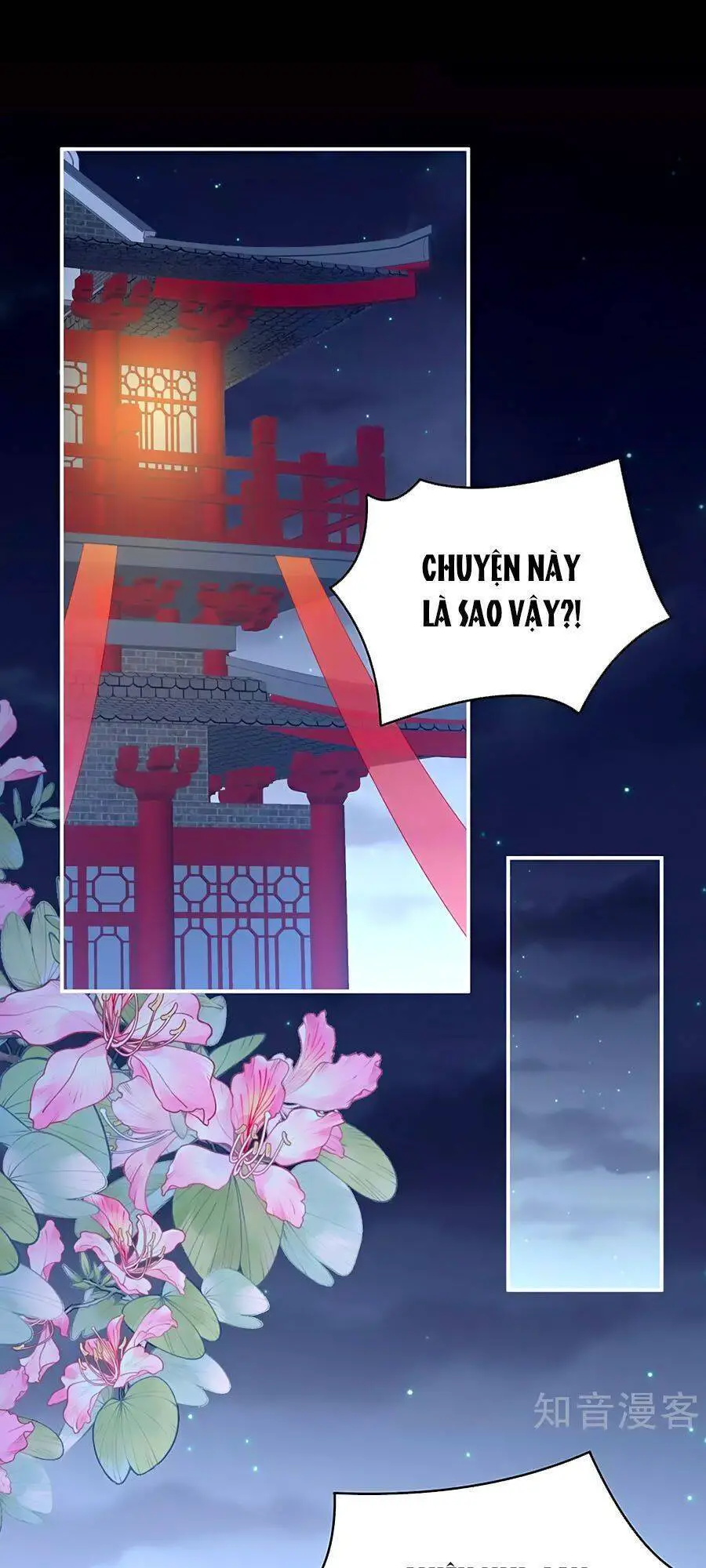 Hậu Cung Của Nữ Đế Nettruyen ZZZ Chương 227 Page 1