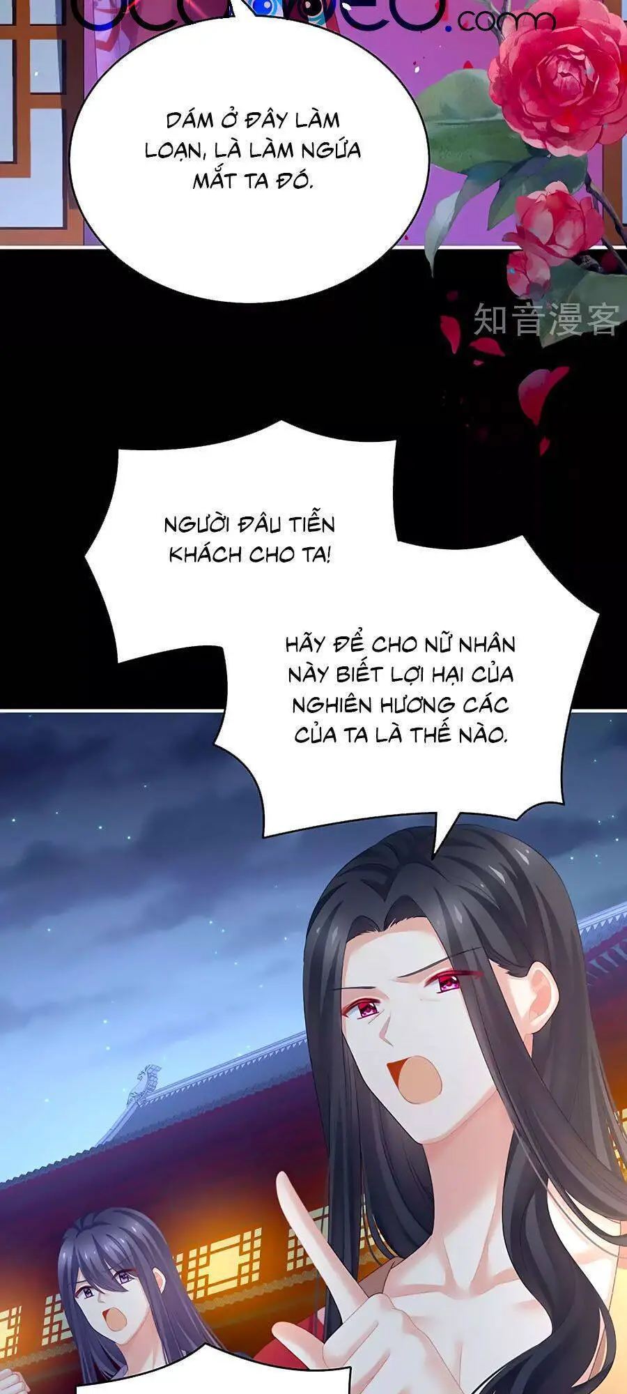 Hậu Cung Của Nữ Đế Nettruyen ZZZ Chương 227 Page 34