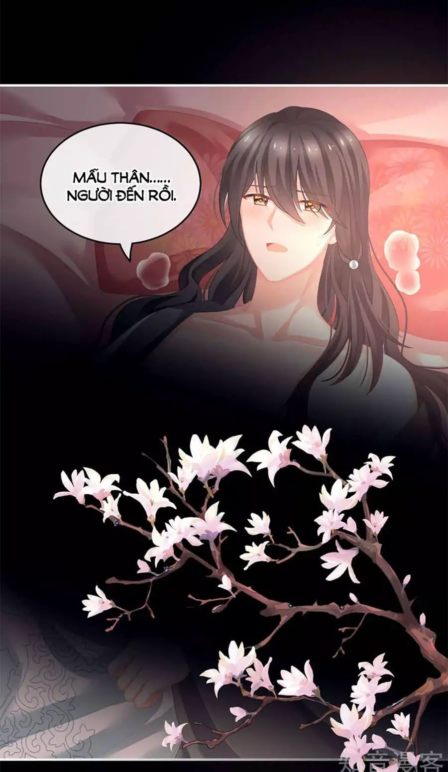 Hậu Cung Của Nữ Đế Nettruyen ZZZ Chương 141 Page 18