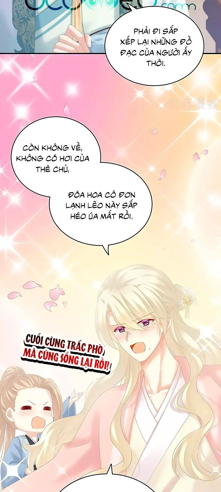 Hậu Cung Của Nữ Đế Nettruyen ZZZ Chương 188 Page 5