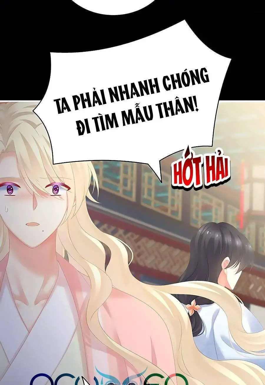 Hậu Cung Của Nữ Đế Nettruyen ZZZ Chương 188 Page 17