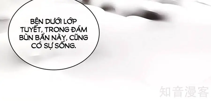 Hậu Cung Của Nữ Đế Nettruyen ZZZ Chương 129 Page 14