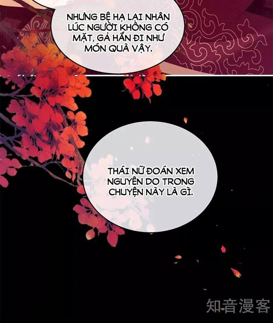 Hậu Cung Của Nữ Đế Nettruyen ZZZ Chương 182 Page 14